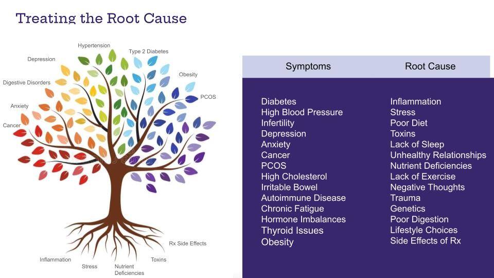 Intro to Ciba May 2024