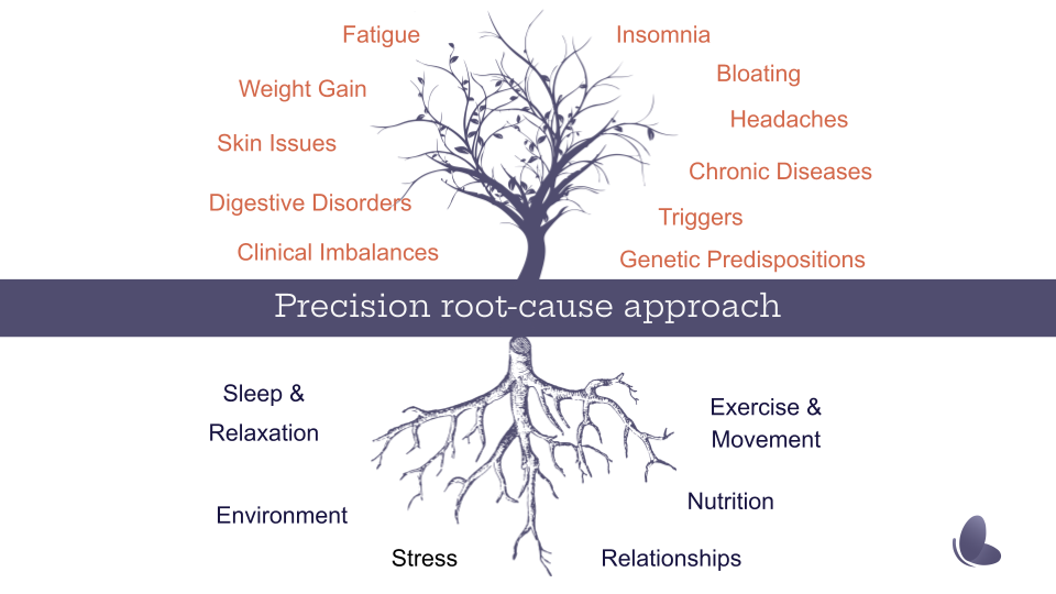 Brief Ciba Overview (1)